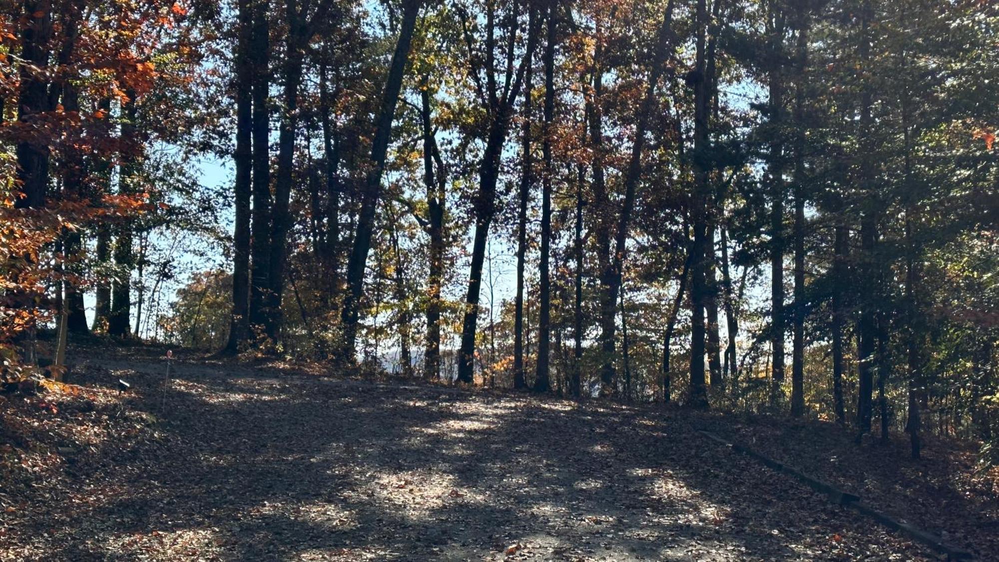 Appalachian Mountain Cabin-Updated-Private-Rafting On Ocoee River-Hiking-Waterfalls-Wifi-Pets Ok Murphy Exterior photo